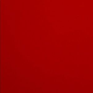 Meet your Posher, Rachael mcginnis